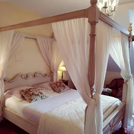Chateau De Bellevue *