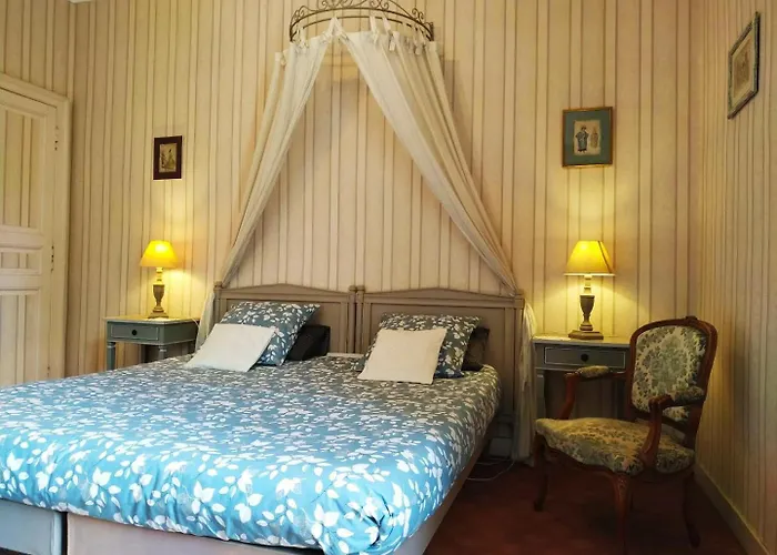 B&B Chateau De Bellevue Proche Du Puy Dufou