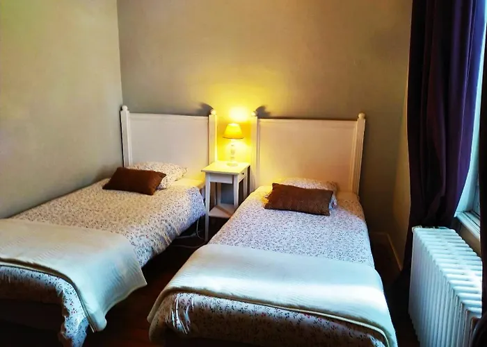 B&B Chateau De Bellevue Proche Du Puy Dufou