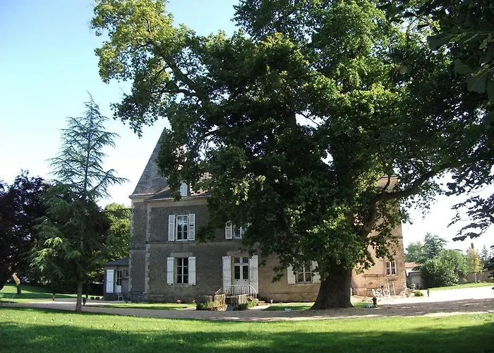 B&B Chateau De Bellevue Proche Du Puy Dufou Sainte-Cécile